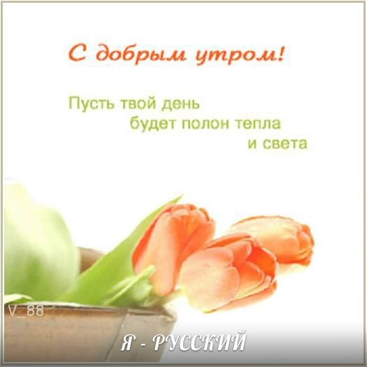 Я - Русский, Голос свободы(рап rap реп рэп хип хоп hip hop дисы бифы батл diss biff )